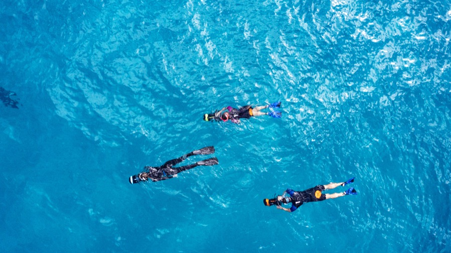 Aerial view of snorkellers with DPV scooters